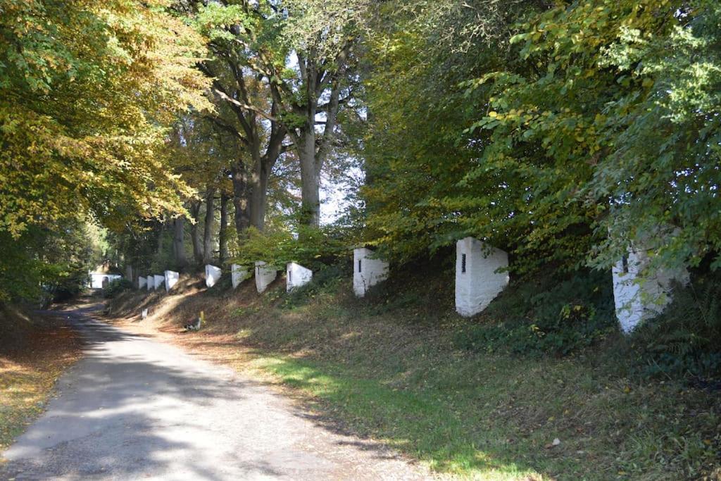 Gite La Forge Lierneux Extérieur photo